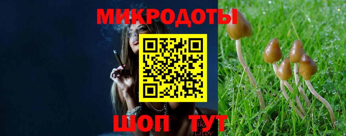 Псилоцибиновые грибы мухоморы Зеленодольск